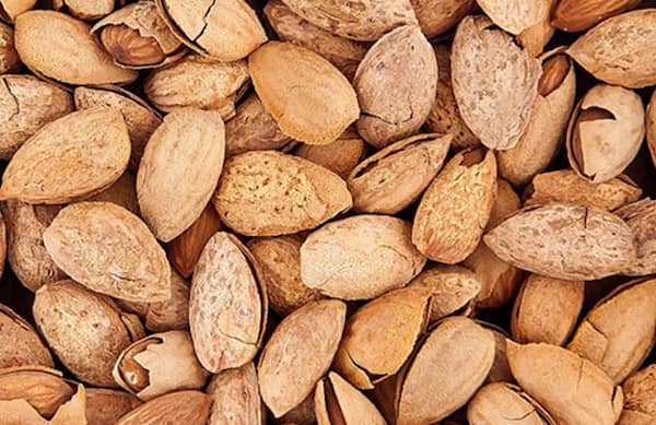 تصویر 5 از قیمت خرید بادام پوست کاغذی + فروش ویژه